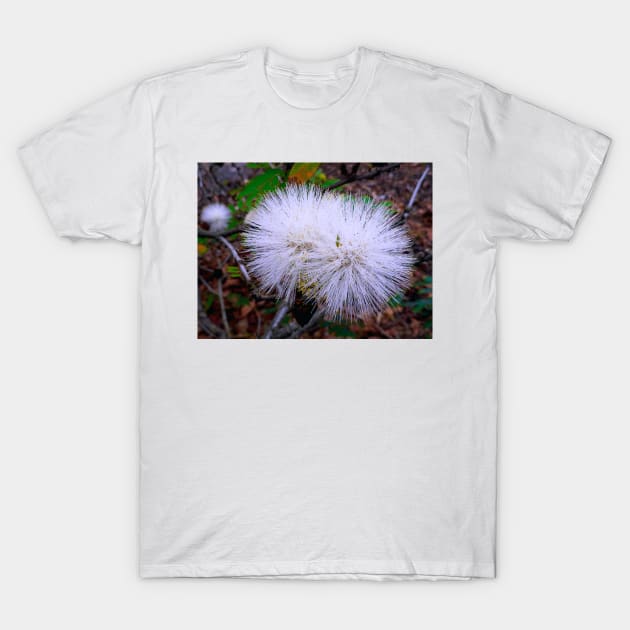 White Ohia T-Shirt by bobmeyers